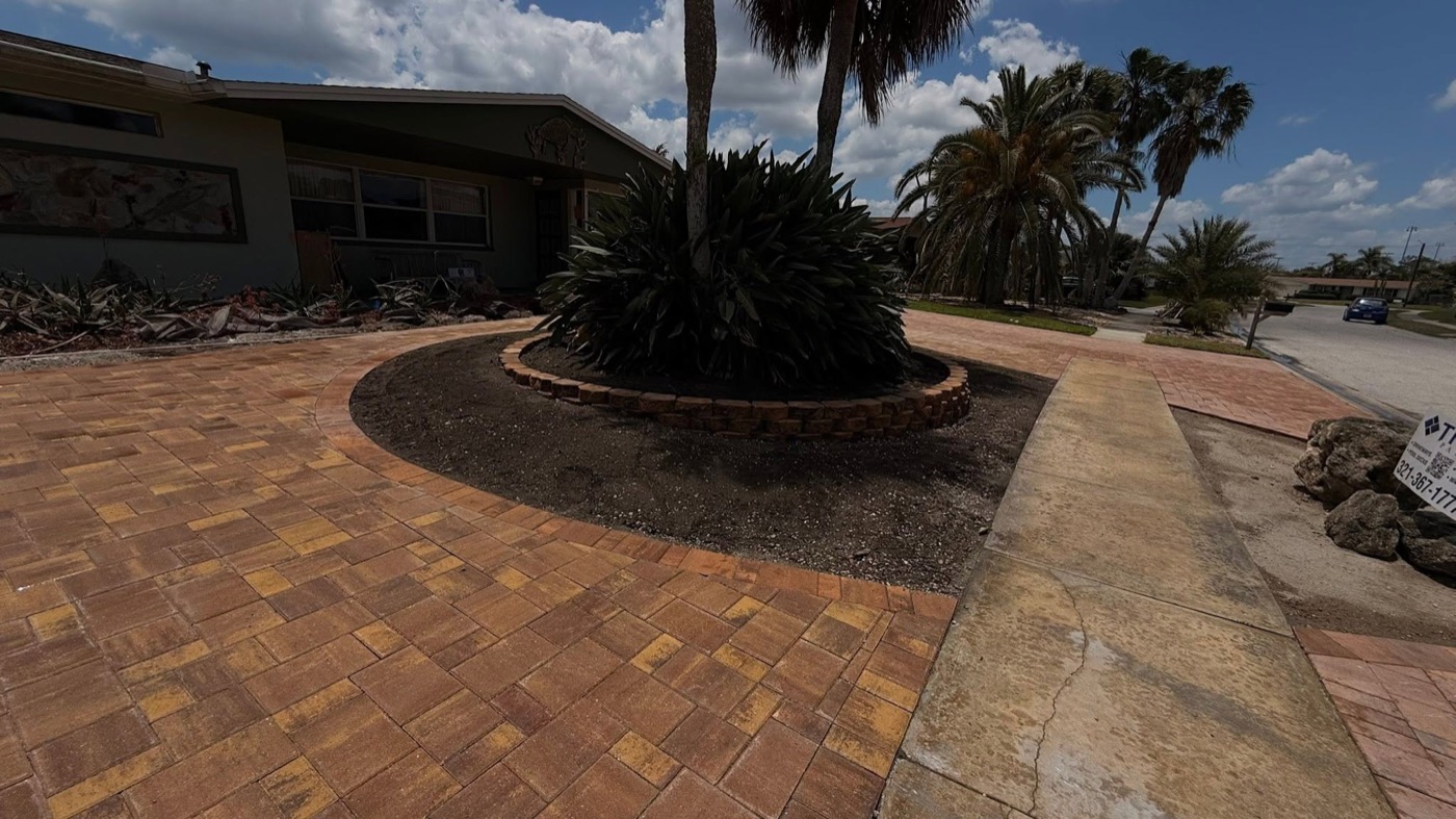 Palm-lined view of the finished teardrop driveway